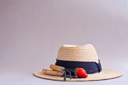 Straw hat and rake, strawberry. The concept of spring work in the garden and in the beds. Copy spaceの写真素材