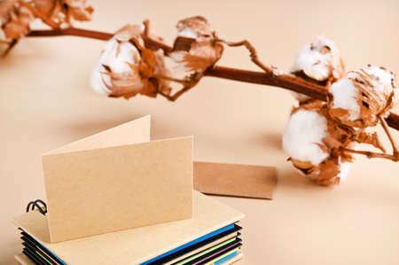 Business card mockup, eco kraft paper on a beige background and a branch of cotton. Eco friendly stationery concept. Recyclable. High quality photo. Copy spaceの写真素材