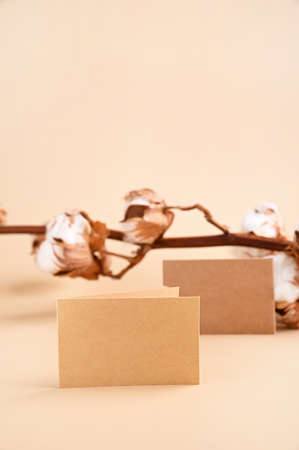 Business card mockup, eco kraft paper on a beige background and a branch of cotton. Eco friendly stationery concept. Recyclable. High quality photo. Copy space. Verticalの写真素材