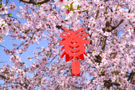 A traditional Chinese fabric hieroglyph for the Chinese New Year, hanging from a branch of a...