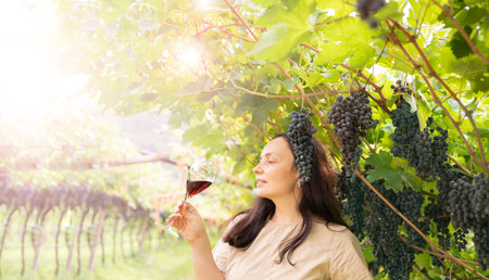 Beautiful woman dreaming tasting red wine enjoying summer stay in vineyards on lovely sunny day. woman drinking red wine at vineyard. harvest season. High quality photoの写真素材