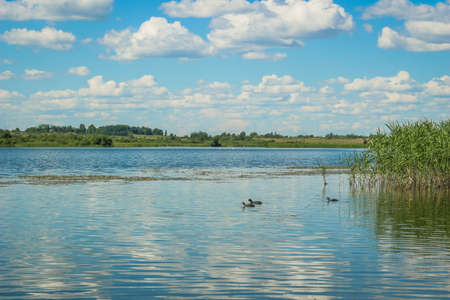 A Lake with green Islands and blue Sky with Clouds. Nature background. Mirrored clouds and landscape.の写真素材