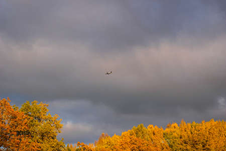Autumn sunny park Landscape. Autumn Trees and River whith a cloudy blue Sky. Early golden Autumn.の写真素材