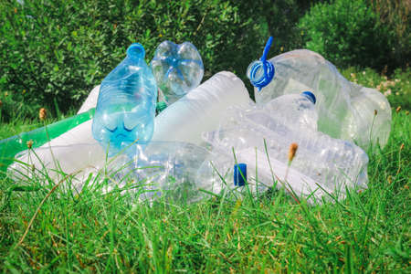 Plastic bottles and bottle caps on grass in park, littering of environment. Problem of global...