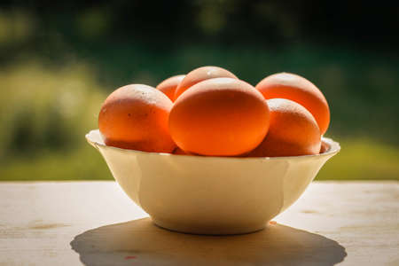 Natural chicken Eggs with whole brown shell in white bowl on the green natural background close up....