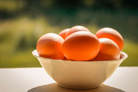 Natural chicken Eggs with whole brown shell in white bowl on the green natural background close up. Happy Easter. Organic eggs.の写真素材