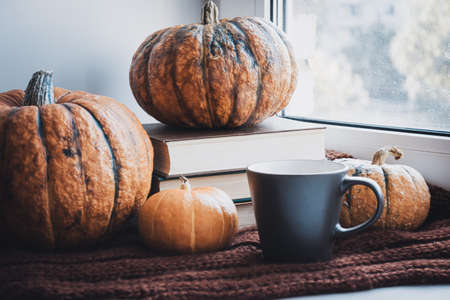Cozy autumn still life. Books, Pumpkins and Cup of hot coffee on windowsill with knitted Scarf. Hello Autumn and Happy Thanksgiving.の写真素材
