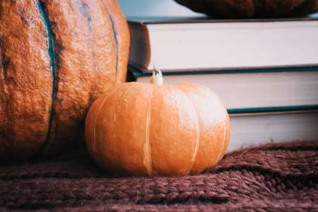 Cozy autumn still life. Books, Pumpkins and Cup of hot coffee on windowsill with knitted Scarf. Hello Autumn and Happy Thanksgiving.の写真素材