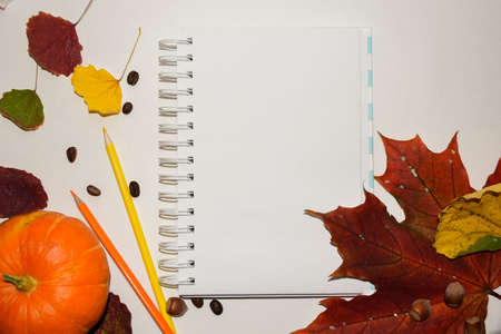 An open notebook for notes on a white background. Free space for text. Autumn atmosphere and yellow...