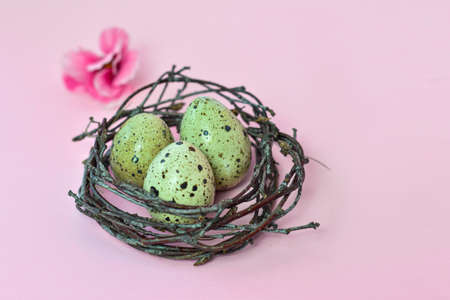 Easter eggs in a nest on a pink spring background. Easter card with eggs and flowers.