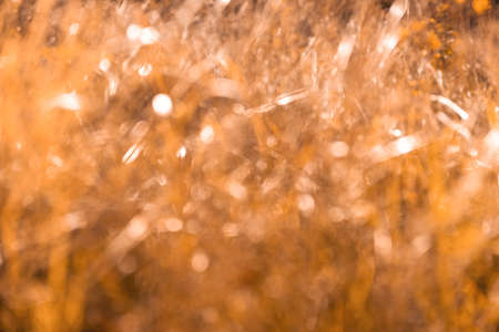 Fall blurred background. Out of focus video footage. Autumn nature leaves Blur background. Sun shines through blowing on wind yellow and orange foliage. Shining sun through a golden fall tree.の写真素材