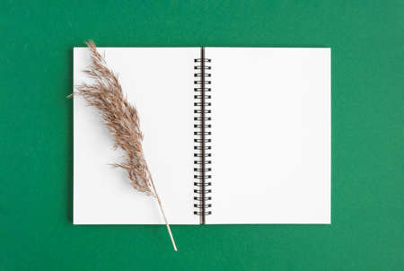 Notebook with pencil. Open notebook on green emerald color background, spiral notepad with dry...
