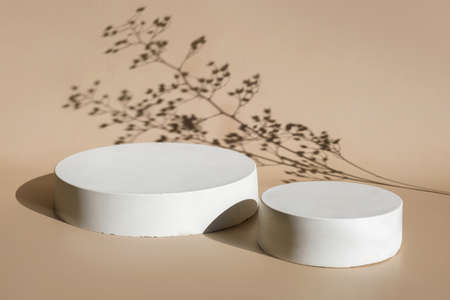 Podium for cosmetic product presentation. Abstract minimal geometrical form. Cylinder stone sphere two forms. Flower shadow. Scene to show products. Showcase, display case. Trendy sunlight. Side viewの写真素材