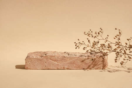 Podium with dry grass for product promotion and cosmetics display. Natural beige beauty pedestal....