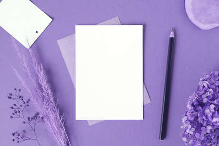 Blank greeting card, invitation mockup. Dry grass, pampas plant on violet table background. Flat lay, top view. Copyspace. Paper cards, mock up. Modern Minimal business brand template. Soft shadow, A6の写真素材