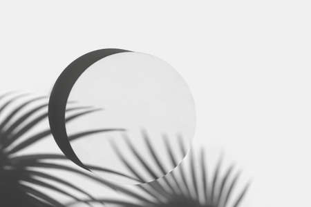 Podium for cosmetic product presentation. Abstract minimal geometrical Cylinder. Stone sphere one form, palm leaf shadow. Scene to show. Showcase, display case. Trendy sunlight. Flat lay, Top View. 3Dの写真素材