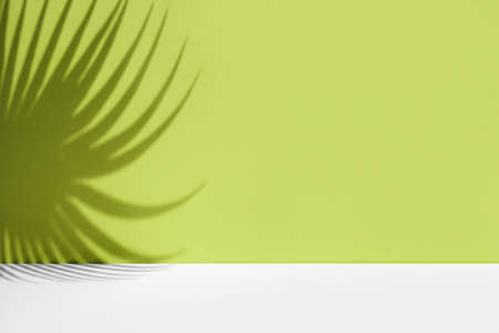 Minimal abstract background with shadow of tropical palm leaves. Presentation of cosmetic product....