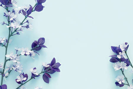 Apple flowers on pink paper background. pastel colors. Flat lay, top view. Spring flowers with violet leaves. floral pattern. creative trend composition. Layout with blooming fruit tree. greeting card.の写真素材