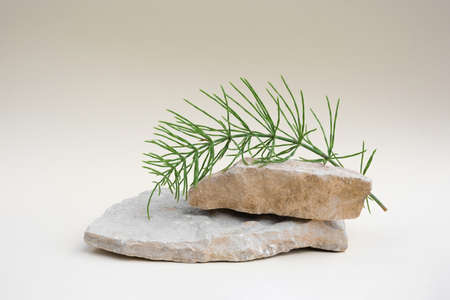 Stone Podium for promotion on beige Background. natural pedestal. Two stone podiums. beauty product mockup. scene to show products. Show case, display case. Front view, soft shadow.の写真素材