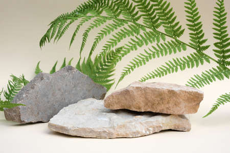 Stone Podium for promotion on beige Background. natural pedestal. Two stone podiums. beauty product mockup. scene to show products. Show case, display case. Front view, soft shadow.の写真素材