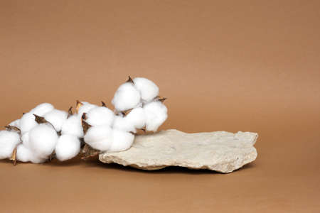 Stone Podium for promotion on beige Background. natural pedestal. rock. beauty product mockup. scene to show products. Showcase, display case. Front view, soft shadow. Cotton flowers, wooden branch.の写真素材