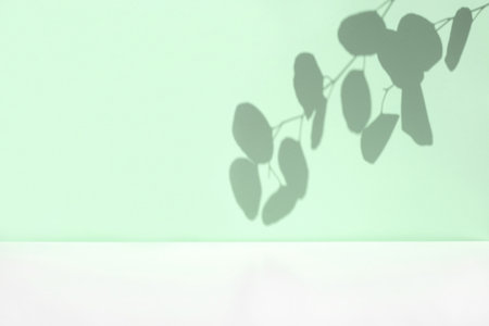 Plant shadows on neutral color wall. Leaves shadow background. Branches, flowers and foliage on pastel studio background. Product presentation, Minimal mockup for advertising. trendy overlay effect.の写真素材