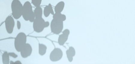 Plant shadows on cian color wall. Leaves shadow background. Branches, flowers and foliage on pastel...