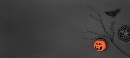 Halloween black background with bats, spiders, pumpkins and twigs. Modern holiday design. Halloween party border on Dark Gray colour. Flat lay, top view, copy space. Thanksgiving fall decoration. 2022の写真素材