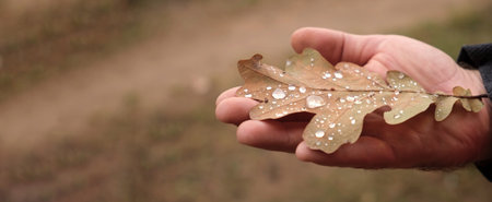 Autumn Leaf in Man Hand. Leaf with Dew Drops Close Up on Human Palm. fall season. Autumnal Mood,...