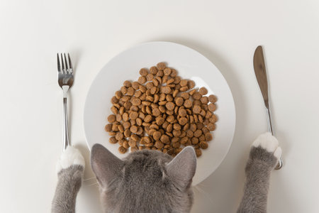 Young Cat Eating Food from Kitchen White Plate. Serving Size, Humor Concept. Feline Feeding Isolated Neutral Background. Tabby Cat Paw with Knife and Fork. Top View Pet Food Banner. Health Meal. 4K.の写真素材