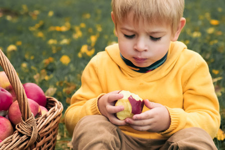 Young Child in the Apple Orchard after Harvesting. Small Toddler Boy Eating a Big Red Apple in the...