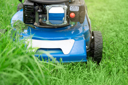 lawn mower cutting grass. Small grass cuttings fly out of lawnmower. Grass clippings get spewed out...