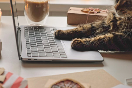 Cat using a Computer Laptop. Fluffy Feline Paws Typing on a Keyboard, Scrolling Swiping and Tapping Touchpad. Animal making online purchases. Holiday shopping, gift. Christmas decoration. Winter salesの写真素材
