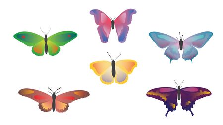 Color drawing butterfly. Beautiful butterflies on a white background for design. Collection set of colorful butterflies. Hand drawn isolated vector illustration.のイラスト素材