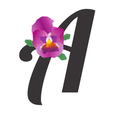Letter "A" with bright single pansy flower lilac isolated on white background. Garden pansies - symbol of Fun and Reminiscence. Flat vector hand drawn illustration with gradient.のイラスト素材