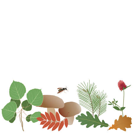 Autumn forest composition, mushrooms, aspen and pine branches, clover, oak and rowan leaves, flying wasp. Seamless line horizontal border.のイラスト素材