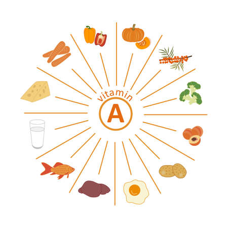 Set of foods rich in vitamin A. Carrots, bell peppers, pumpkin, sea buckthorn, broccoli, peach, potatoes, egg yolk, animal liver, fish, milk, cheese. Vector flat on white. Healthy eating, fitness.のイラスト素材