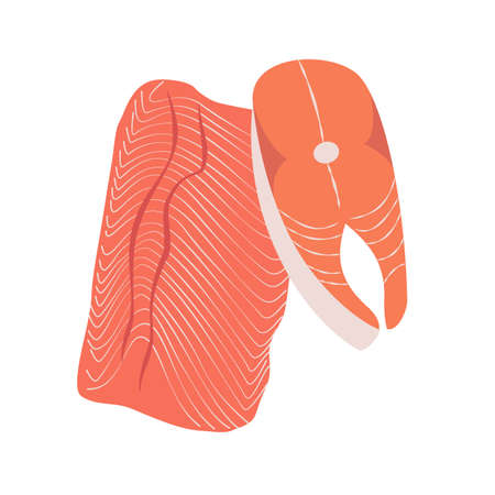 Cutaway salmon fish slices, sea animal. Hand-drawn vector. Ingredient for Japanese sushi. Healthy, delicious and fresh food, cooking. Source of vitamin D, omega. For menus, restaurants, cafes, recipesのイラスト素材