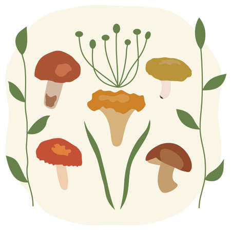 Forest mushrooms and leaves, summer-autumn composition. Chanterelle, boletus, aspen, russula. Hand-drawn vector illustration, flat style. Healthy food, a source of protein. For decor, menus, recipes.のイラスト素材