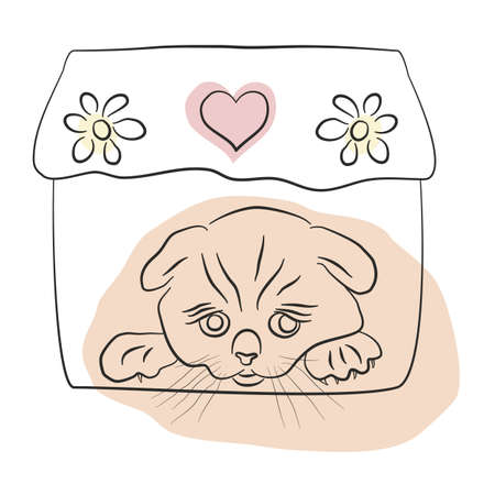 Cute sad kitten by the window. Curtains with flowers and a heart. Line art, sketch, surreal animal vector. Contour portrait of a young cat. Cute cartoon childish drawing of a pet. Print, Internet.のイラスト素材