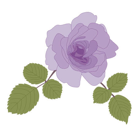 Single dark purple rose flower with green leaves. Romantic mood. Fashion design element. Hand-drawn vector, flat style. For printing on fabric, illustrations, congratulations, invitations, gift.のイラスト素材