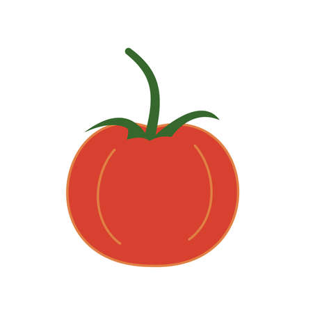 Single simple red tomato with green stalk, icon. Fresh vegetable. Hand-drawn vector. Healthy delicious vegetarian food, source of vitamins, agriculture. Ingredient for making ketchup. For market.のイラスト素材
