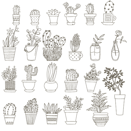 Cute hand drawn vector cactuse in the potsのイラスト素材