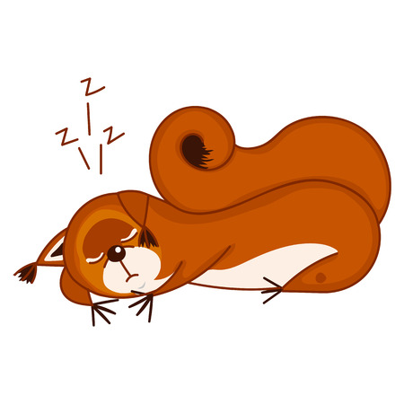Squirrel sleepingのイラスト素材