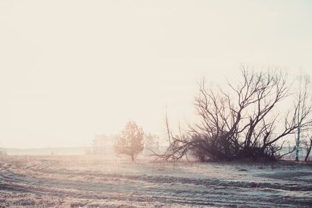 Early morning, field landscape in the village and sunrise.
