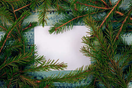 Christmas texture on a blue wooden background surrounded by spruce branches. White form with a place for recording on branchesの写真素材
