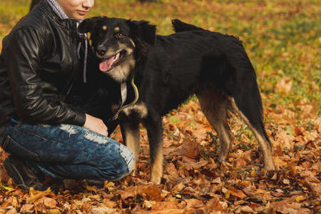 A curly-haired brown-haired boy with a mohawk hairstyle in a leather jacket on the background of an autumn forest plays with a dogの写真素材