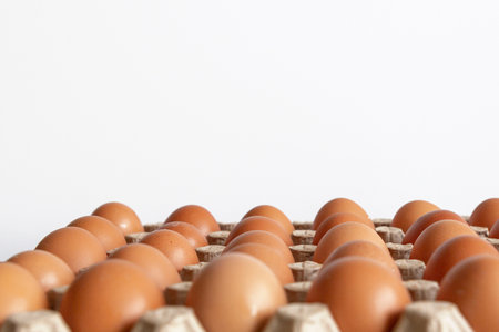 Cell of brown chicken eggs isolated on wihte background.