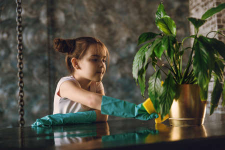 A beautiful little girl in rubber gloves does the cleaning, rags the dust from the table. Helps mom.