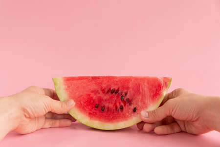 A female hands hold a slice of watermelon on an pinkbackground.の写真素材